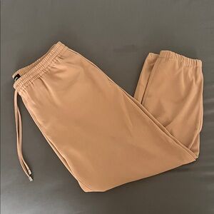 Express Beige Elastic Waist Pants